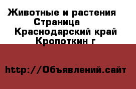  Животные и растения - Страница 19 . Краснодарский край,Кропоткин г.